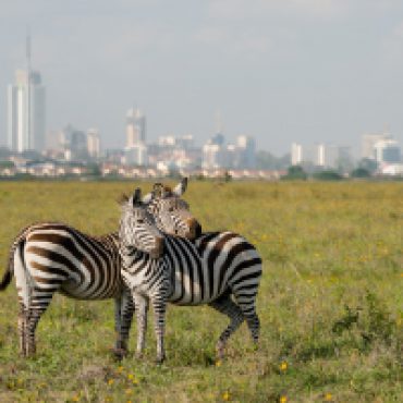 Nairobi City